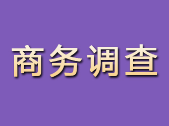 安庆商务调查