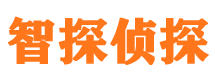 安庆市私家侦探